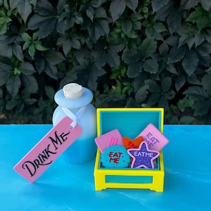 Alice in Wonderland Cookie Chest, Set of Cookies and Drink Me Bottle