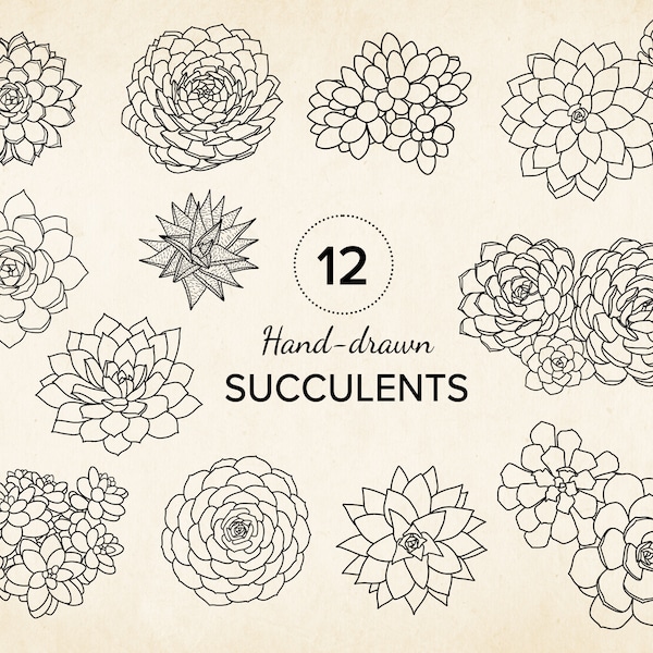 12 Succulents SVG Clipart, Hand-drawn, Botanical Plants Line Art, Sublimation Monochrome, Cricut, Wedding, Art Print, Commercial Use