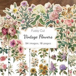 Pode incluir: Fussy Cut Vintage Flowers. Uma coleção de imagens florais, incluindo rosas, lírios e girassóis, em estilo vintage. As imagens estão em um fundo creme com detalhes verdes. O texto diz "Fussy Cut Vintage Flowers" e "94 imagens, 18 páginas."
