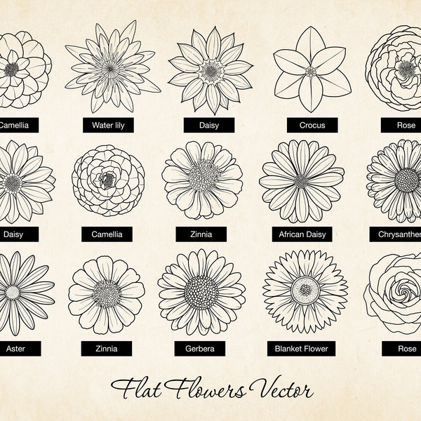 Hand-drawn Flowers SVG Clipart, Vector Flat Flowers, Flower Line Art, Flower Icons Daisy, Rose, Camellia, Sublimation, Art Print, Cricut DIY