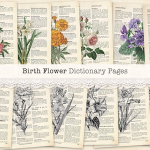 Utskrivbara botaniska ordbokssidor med födelseblommor, scrapbook med födelsemånadsblommor, vintage skräpjournalsida med födelsedagstryck 8,5x11"