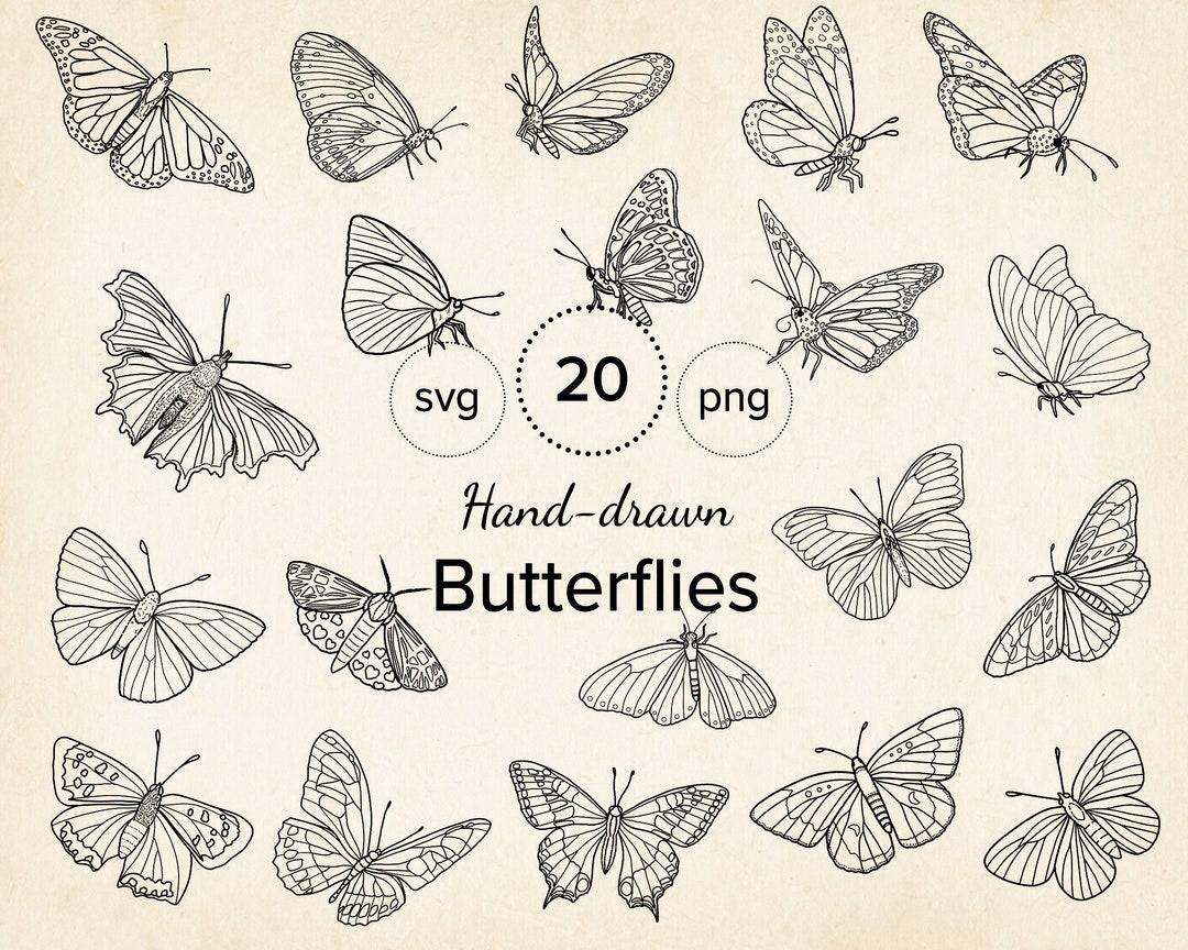 20 Hand-drawn Butterfly SVG Clipart, Butterflies Moths Vector Clipart ...