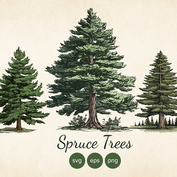 3 Spruce, Pine, Fir Tree SVG Clipart, Botanical Tree Pack, Tree Vector, Vintage Pine, Vintage Spruce EPS, POD, Sublimation Commercial Use