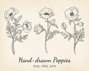 3 Hand-drawn Poppy SVG, EPS, PNG Clipart, Poppies Bouquet Vector Line-Art, Wedding, Branding, Sublimation, Wall Art Print, Commercial Use