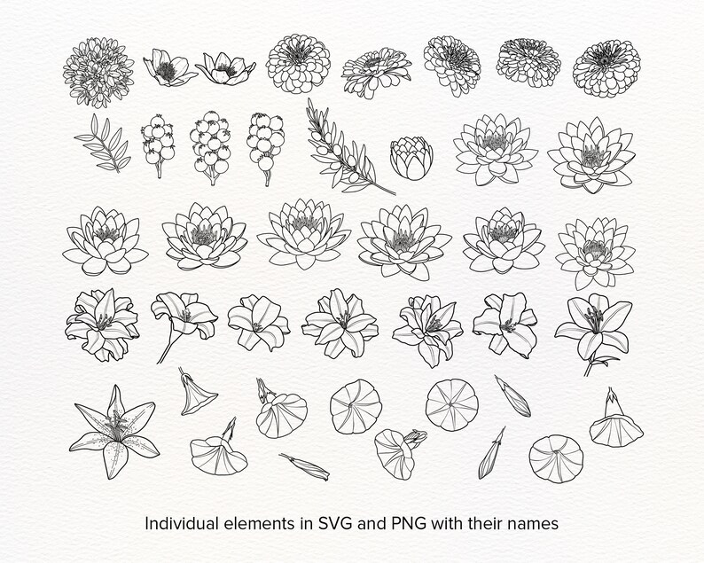 200 Handdrawn Flowers &leaves SVG Clipart, Vector Flowers Line Art, Daisy, Rose, Lily