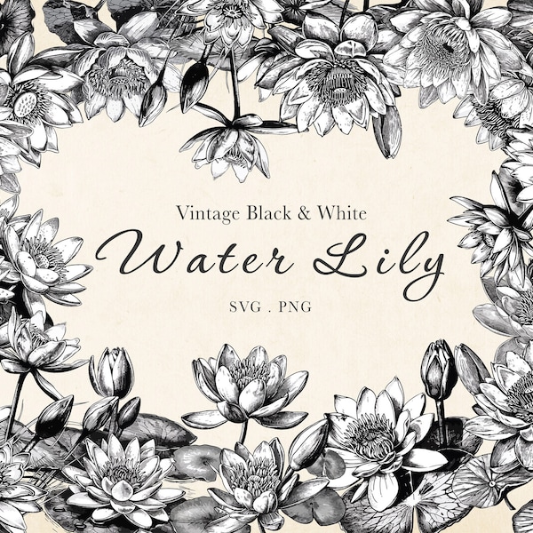 Vintage Black & White Lotus Water Lily SVG, PNG Clipart, Lotus Clipart, Sublimation, Vintage Flowers, Waterlily Sticker Scrapbook, Art Print