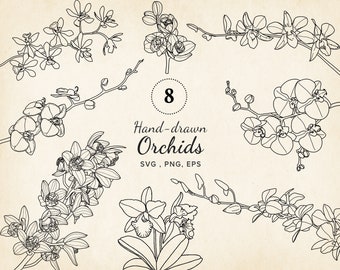 Orchid Flowers SVG EPS Bundle, Hand-drawn Vector Floral Print, Orchidée SVG Line Art, For Tattoo, Wedding, Branding, Sublimation, Crafting