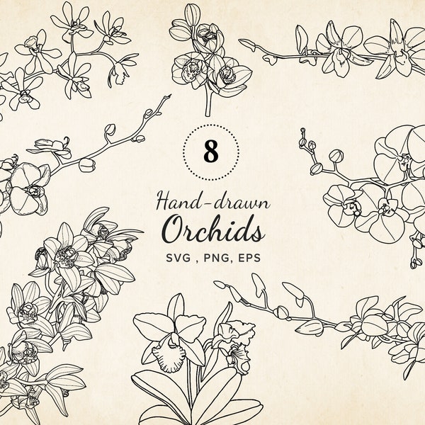 Orchid Flowers SVG EPS Bundle, Hand-drawn Vector Floral Print, Orchidée SVG Line Art, For Tattoo, Wedding, Branding, Sublimation, Crafting