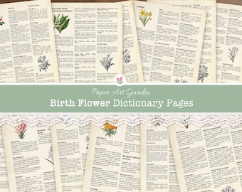 Printable Botanical Birth Flowers Dictionary Pages Birth Month Flower Scrapbook Ephemera Vintage Junk Journal Page Birthday Print 8.5x11" A4
