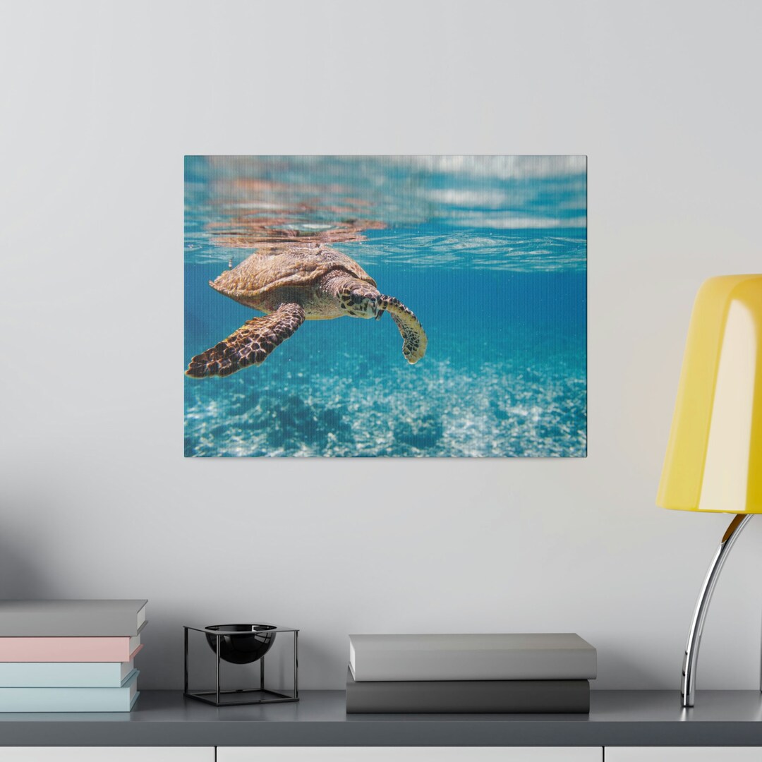Sea Turtle Canvas Wall Art, Sea Turtle Decor, Turtle Picture, Beach