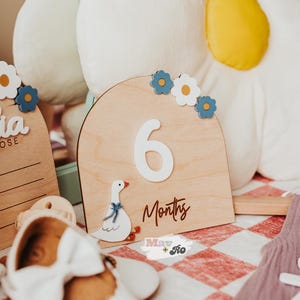 Goose Baby Interchangeable Milestones