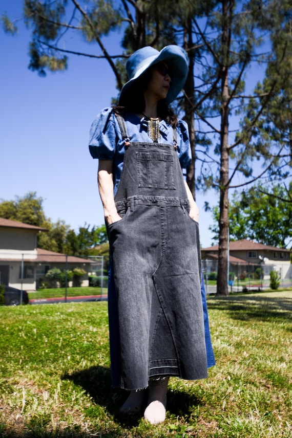dress denim overalls Agnes Denim Overall Dress