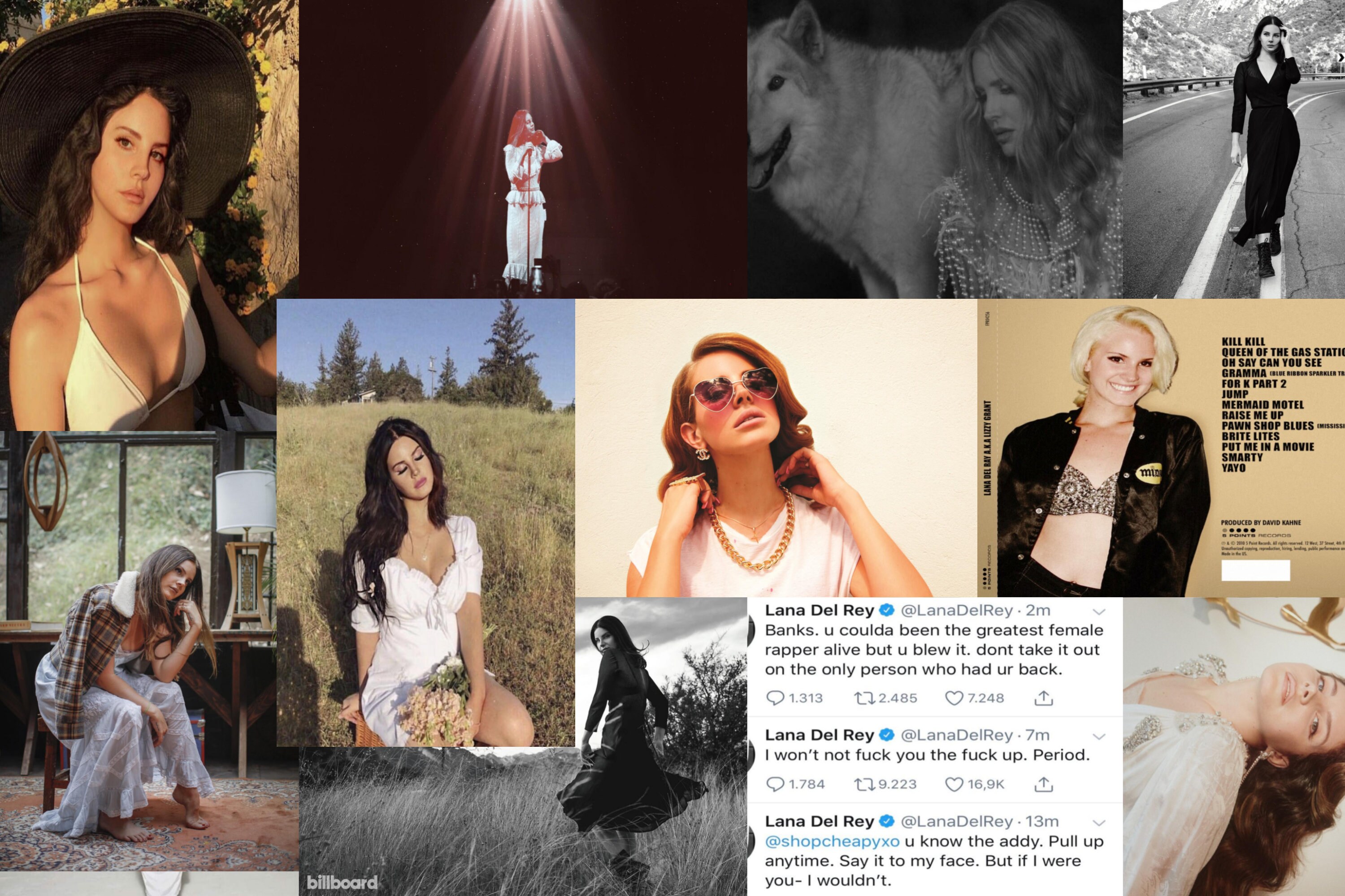Lana Del Rey Wall Collage Kit Lana Del Rey Collage Kit Music Etsy 