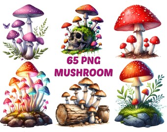 Clipart di funghi ad acquerello: 65 illustrazioni PNG trasparenti (download digitale)