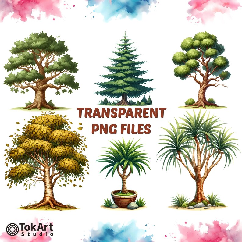 Watercolor Transparent PNG Tree Image Set. Watercolor PNG Stylistic ...