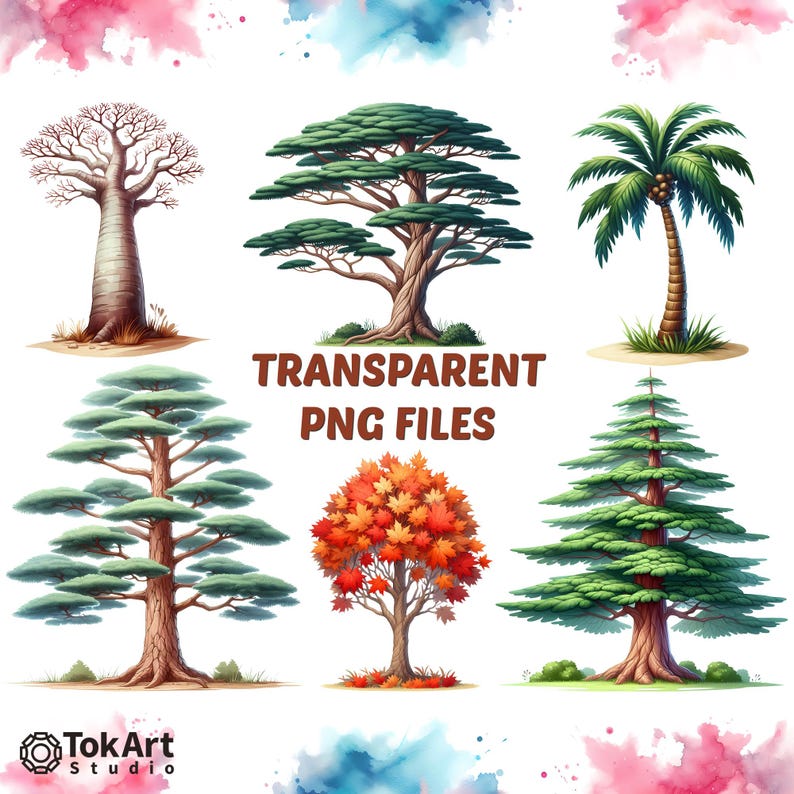 Stylistic Tree Watercolor Transparent PNG Tree Image Set. Watercolor PNG Stylistic ...
