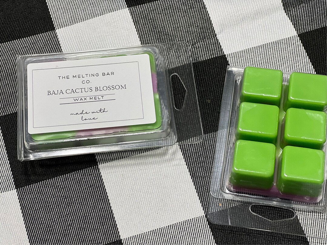 BAJA Cactus Blossom Wax Melt BBW Stronge Scent 2.4oz Tart Etsy