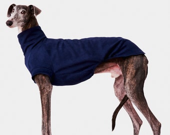 May include: A greyhound dog wearing a navy blue sweater. The dog is standing on a white background.