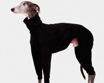 May include: A greyhound dog wearing a black turtleneck sweater. The dog is standing on a white background.