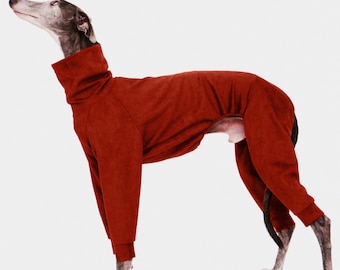 May include: A greyhound dog wearing a red turtleneck jumpsuit. The dog is standing on a white background and looking upwards.