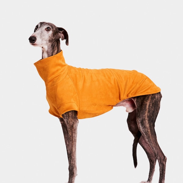 Greyhound sweatshirt - yellow