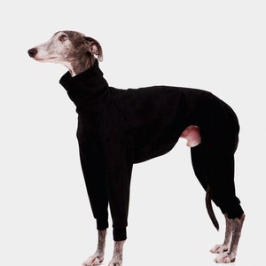 Greyhound 4-legged sweatshirt - black