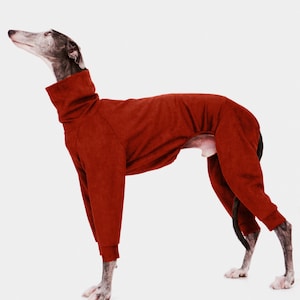 4-legged greyhound sweatshirt - tile