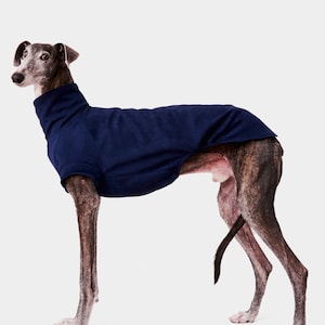 Windhondsweater - blauw