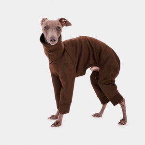 May include: A grey Italian Greyhound dog wearing a brown suede jumpsuit. The dog is standing on a white background and looking directly at the camera.