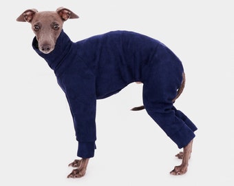 May include: A grey Italian Greyhound dog wearing a navy blue fleece jumpsuit. The dog is standing on a white background.