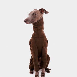 May include: A grey Italian Greyhound dog wearing a brown turtleneck sweater. The dog is sitting on a white background.