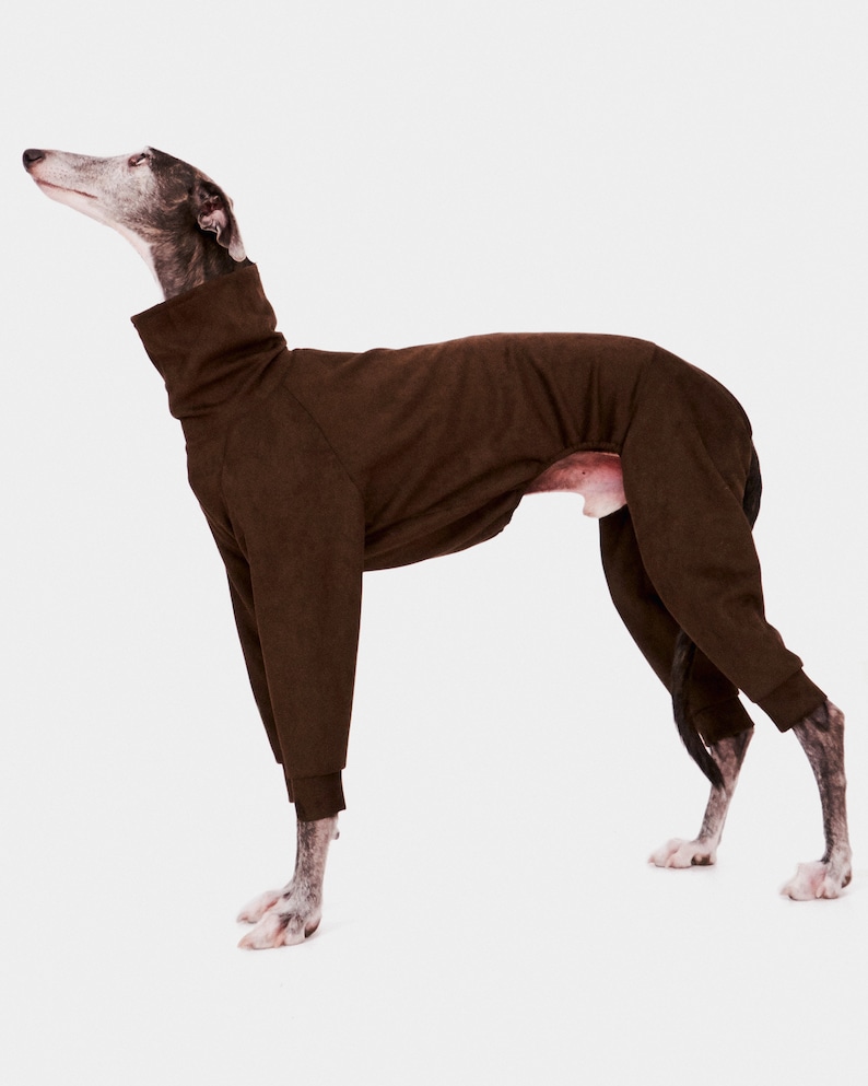 May include: A brown dog jumpsuit with a high neck and long sleeves. The jumpsuit is made of a soft, comfortable fabric and is perfect for keeping your dog warm in the winter.
