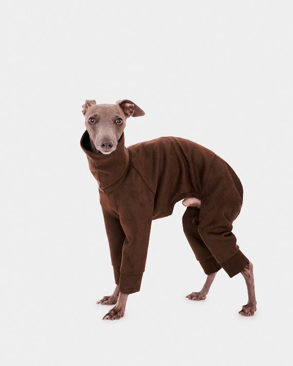 Sudadera galgo 4 patas - verde