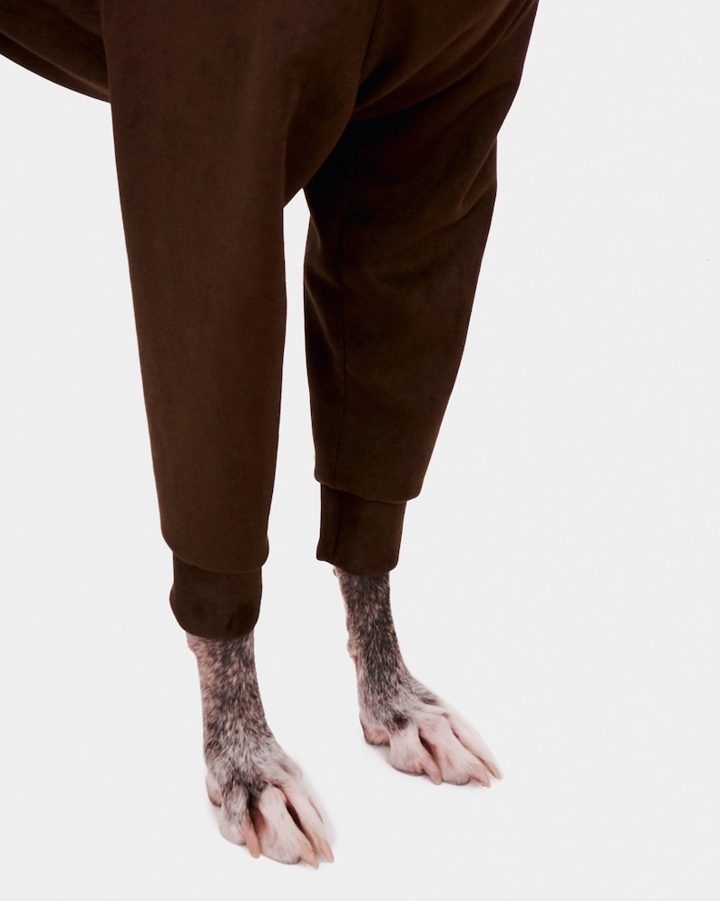 May include: A pair of brown trousers with the legs rolled up to reveal the paws of a dog.