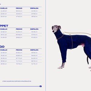 May include: Size chart for dog clothes in three breeds: Iggy, Whippet, and Galgo. The chart lists neck, chest, and back measurements in centimetres for each breed and size. A blue dog sweater is shown on a white background.