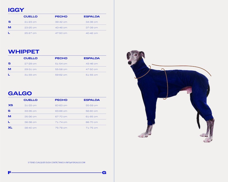 May include: Size chart for dog clothes in three breeds: Iggy, Whippet, and Galgo. The chart lists neck, chest, and back measurements in centimetres for each breed and size. A blue dog sweater is shown on a white background.