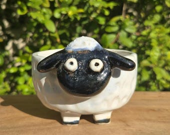 May include: A ceramic sheep-shaped planter with a white body and a black face, ears, and feet. The sheep has large, round eyes and a small, open bowl for planting. The planter is on a wooden surface with a green leafy background.