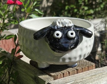 May include: A white ceramic planter shaped like a sheep, with a black face and ears. The sheep planter has a round body and is sitting on a wooden surface. The planter is designed for small plants and adds a whimsical touch to any space.