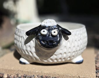 May include: A white ceramic sheep planter with a black face, ears, and hooves. The sheep has a textured, wool-like body and a round opening for planting. The planter is sitting on a stone surface.