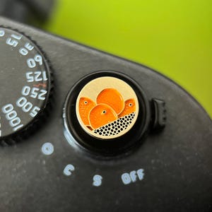 May include: Close-up of a black camera with a round dial and a decorative button. The button features a gold background with orange fruit illustrations and a black and white dotted pattern.