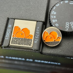 Creative Fruit Pattern Camera Accessories, Decorative Hot Shoe Cap & Shutter Button, Suitable for Canon, Sony, Fuji, Nikon, Camera Gift image 2