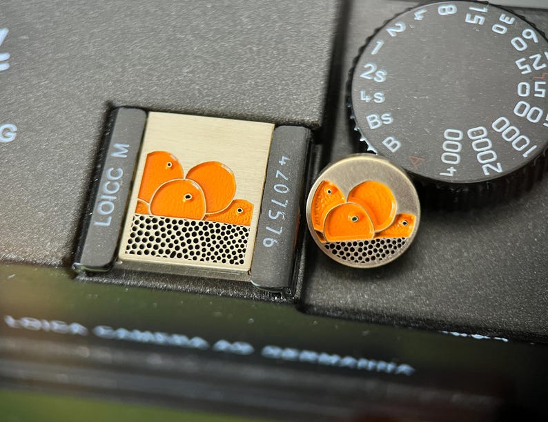Creative Fruit Pattern Camera Accessories, Decorative Hot Shoe Cap & Shutter Button, Suitable for Canon, Sony, Fuji, Nikon, Camera Gift image 2