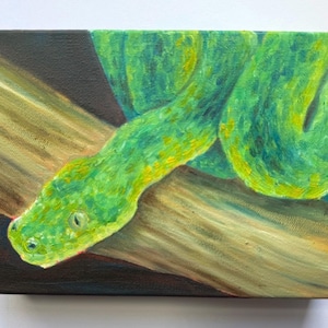 Oil Green Tree Python Original Painting 8x6 inch Stretched Canvas