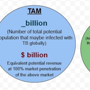 Può includere: Un grafico con tre cerchi colorati etichettati TAM, SAM e SOM. Ogni cerchio contiene testo che descrive le potenziali dimensioni del mercato e i ricavi in miliardi o milioni di dollari relativi alla tubercolosi.