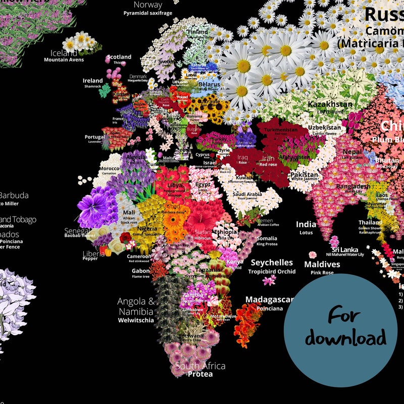 Floral World Map Art - Etsy UK
