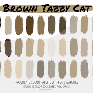 Puede incluir: Una paleta de colores digital para Procreate con 30 muestras de color marrón y beige. La paleta se titula "Brown Tabby Cat" e incluye códigos de color en hexadecimal, RGB y CMYK.