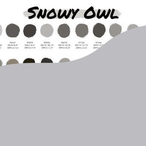 Procreate Color Palette | Snowy Owl | Instant Download | Digital File ...