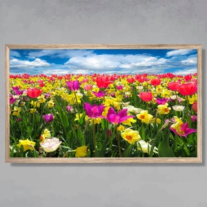 Samsung Frame TV Art, Field of Daffodils & Tulips, Celebrate Spring, Instant Download, Samsung Art TV, Digital Download for Samsung Frame