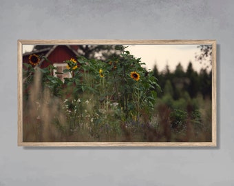 Samsung Frame TV Art, Friedliche Landszene mit wunderschönen Sonnenblumen, Country Scene, Frame TV Art, Digitaler Download, LG TV Art