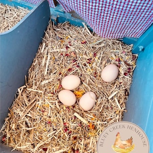 May include: A blue nesting box with straw bedding and four white eggs. A round sticker on the side reads "Bluey Creek Henhouse Organic Nesting Box Mix for Happy Hens".